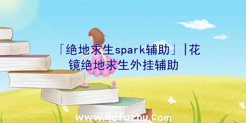 「绝地求生spark辅助」|花镜绝地求生外挂辅助